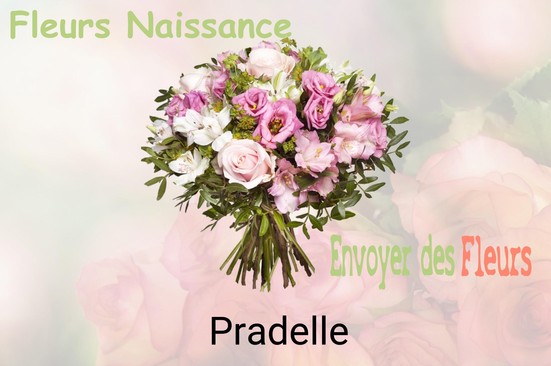 Bouquet de fleurs de naissance livré à Pradelle